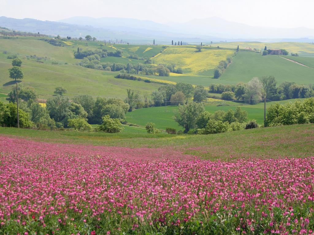 Agriturismo Poggio Tobruk Pienza Exterior foto